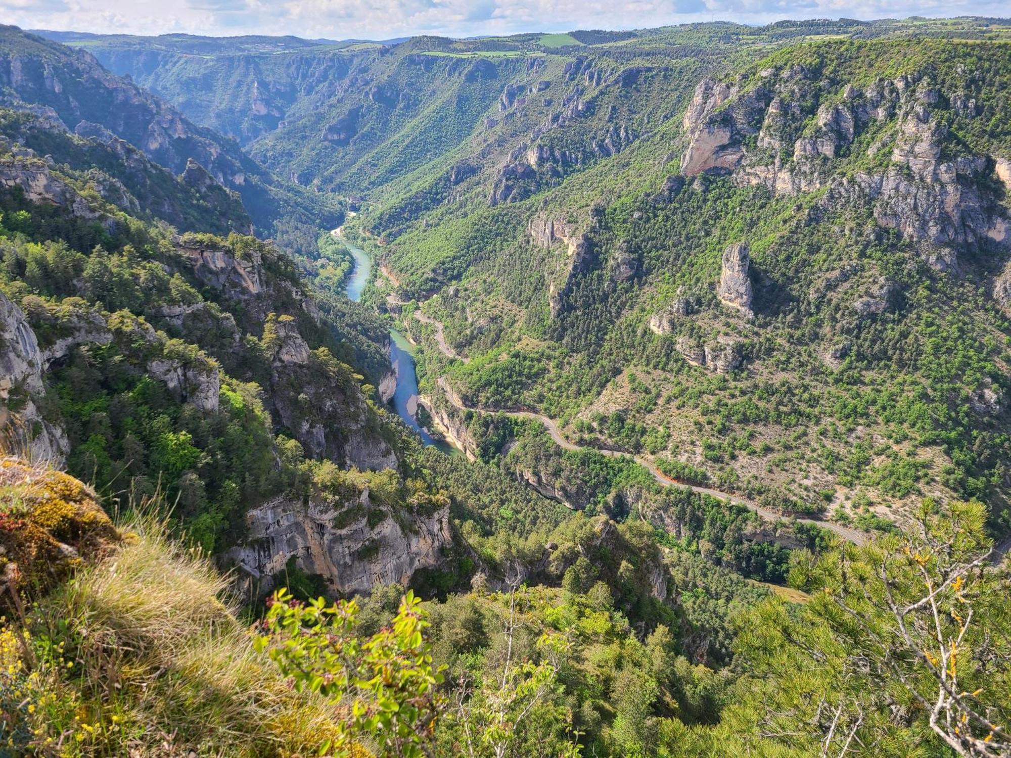 Gites La Boletiere Saint-Étienne-du-Valdonnez Exteriör bild