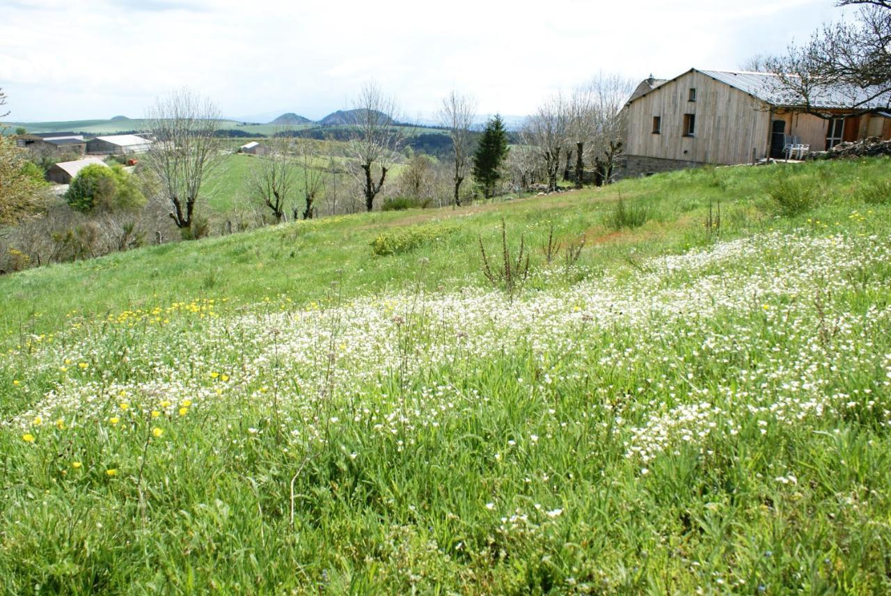 Gites La Boletiere Saint-Étienne-du-Valdonnez Exteriör bild